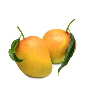 mango-importers
