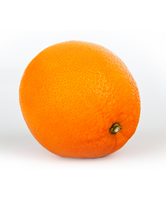 orange-importers