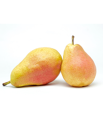 pear-importers