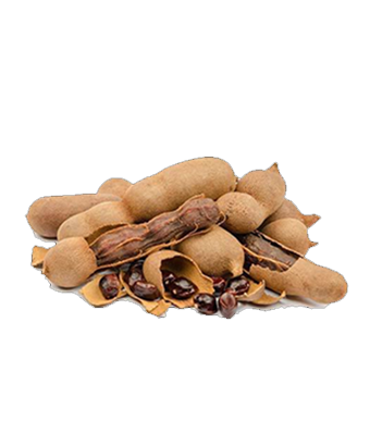 tamarind-importers