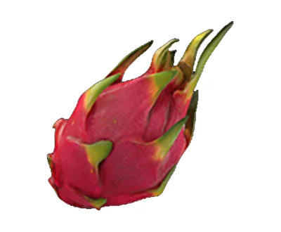 Imported Dragon Fruit supplied by IG International