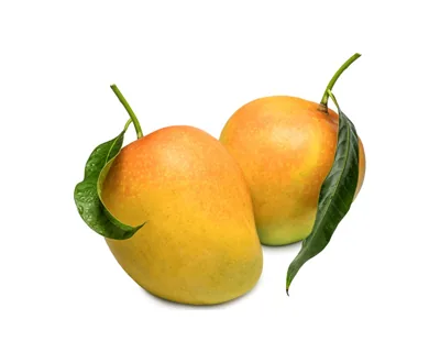 Imported Mango supplied by IG International