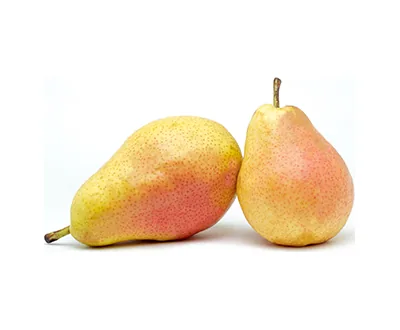 Imported Pears supplied by IG International