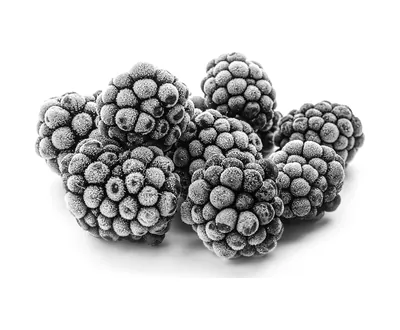 Frozen Blackberry