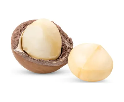 Macadamia