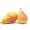 Pear